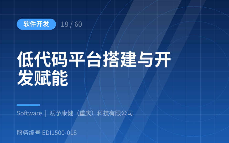 低代码平台搭建与开发赋能